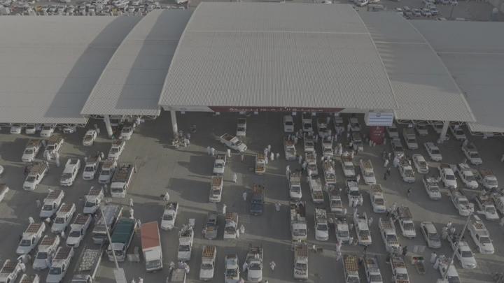 سوق التمر في القصيم من الأعلى، لقطة جوية.