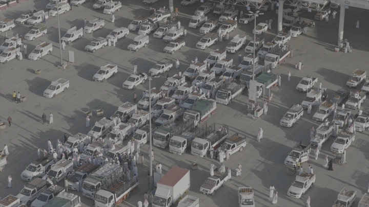 سوق التمر في القصيم من الأعلى، لقطة جوية.