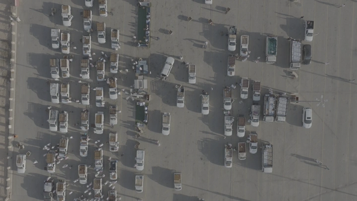 سوق التمر في القصيم من الأعلى، لقطة جوية.