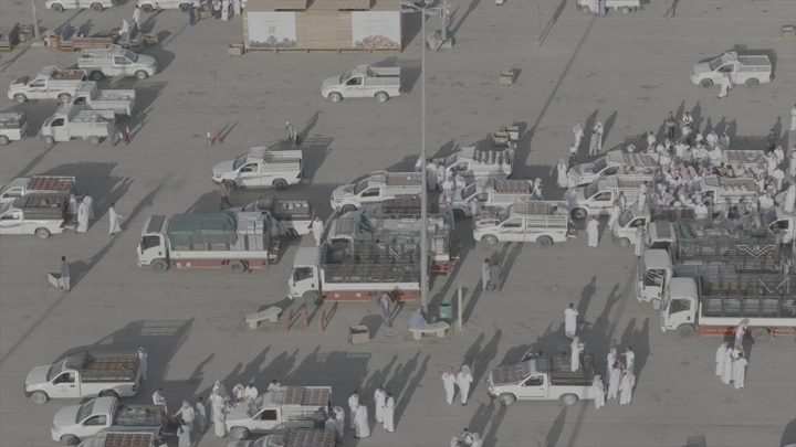 سوق التمر في القصيم مزدحم بالناس والسيارات، لقطة جوية.