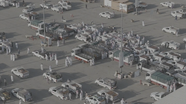 سوق التمر في القصيم من الأعلى، لقطة جوية.