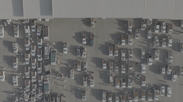 سيارات مصطفة في سوق التمر بالقصيم، لقطة جوية.