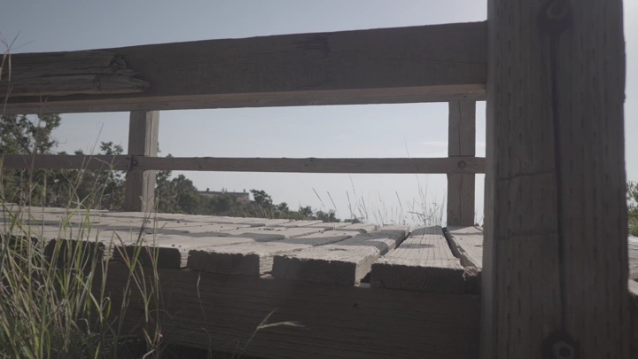 رجل يمشي على جسر خشبي في الطبيعة في يوم مشمس، لقطة منخفضة.