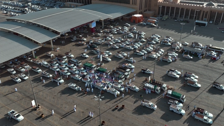 سوق تمور مزدحم في بريدة، لقطة جوية نهارية.