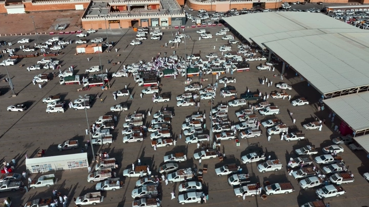سوق سيارات محملة بالتمور في بريدة، لقطة جوية.