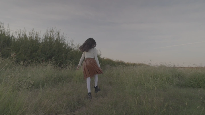 طفلة تسير في حقل عشبي في المساء، لقطة من الخلف.