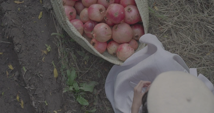 سلة رمان في حقل زراعي، لقطة من الأعلى.