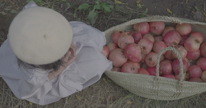 طفلة تجلس بجانب سلة رمان في الحقل، لقطة من الأعلى.