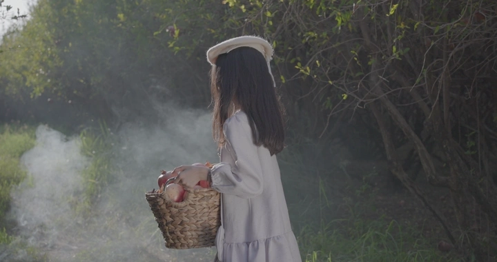 فتاة تحمل سلة رمان في مزرعة، لقطة خلفية.