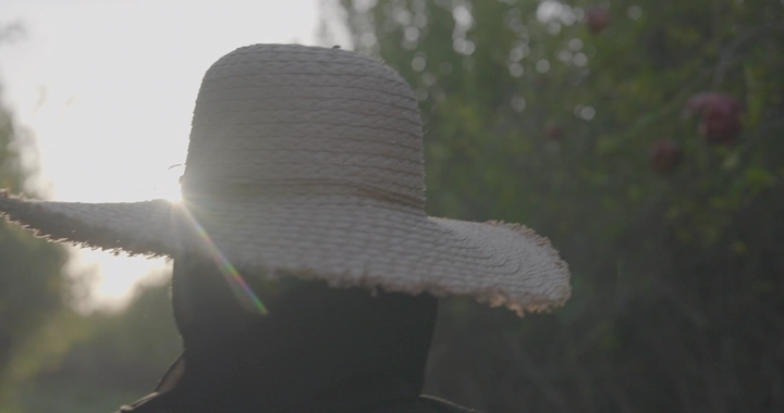 فتاة ترتدي قبعة في مزرعة عند الغروب، لقطة خلفية.