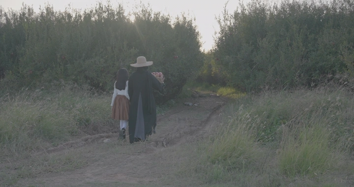 طفلة وامرأة تسيران في مزرعة رمان عند الغروب، لقطة خلفية.