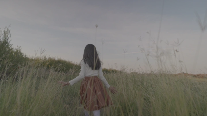 فتاة تمشي في حقل عشبي عند الغروب، لقطة من الخلف.