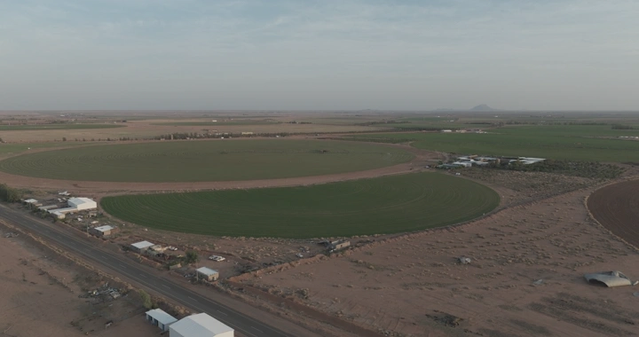 مزارع دائرية في الصحراء عند الغروب، لقطة جوية.