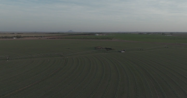 حقول زراعية واسعة تحت سماء غائمة، لقطة جوية.