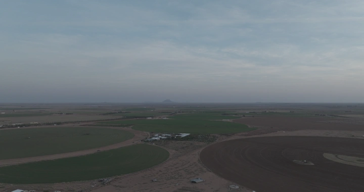 حقول زراعية واسعة عند الغروب، لقطة جوية.