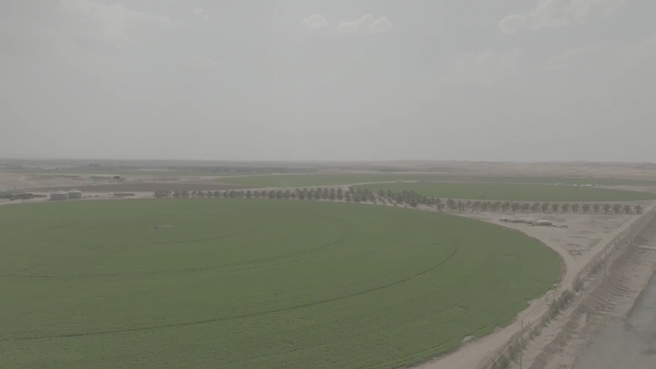 مزرعة خضراء واسعة في يوم غائم، لقطة جوية.