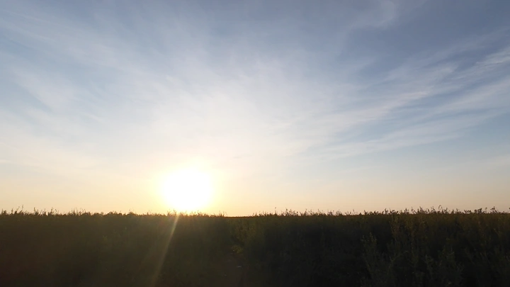 شروق الشمس فوق مزرعة رمان، لقطة من مستوى الأرض مع شخصين.