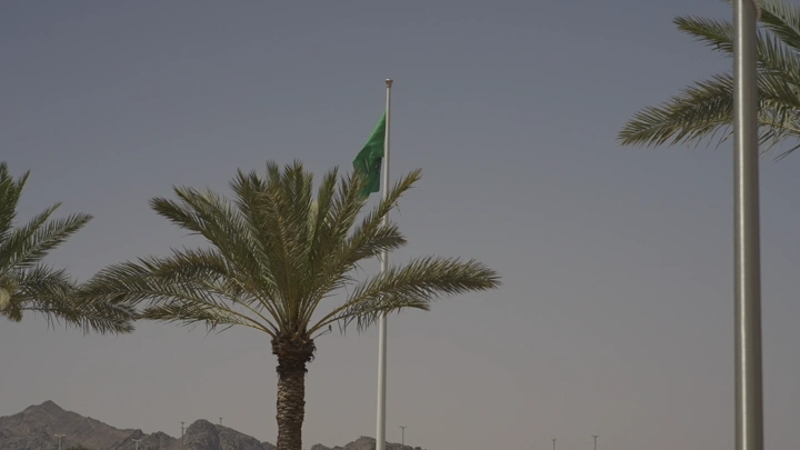 علم السعودية بين أشجار النخيل في حائل، لقطة نهارية.