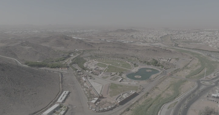 حديقة السمراء من الأعلى في يوم مشمس، لقطة جوية.