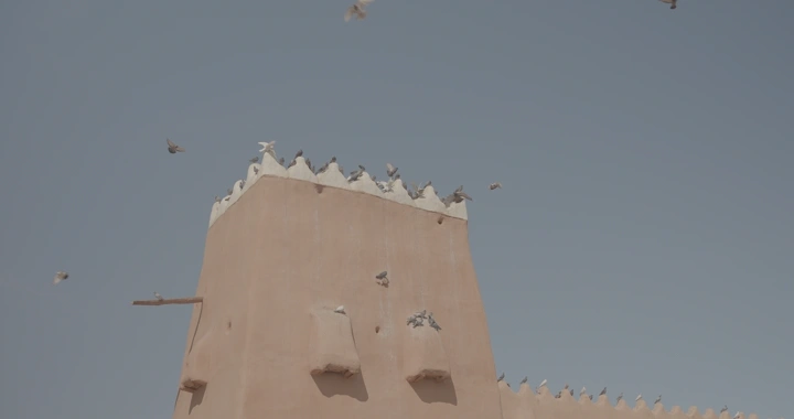 طيور على برج تقليدي تحت سماء زرقاء، لقطة واسعة.