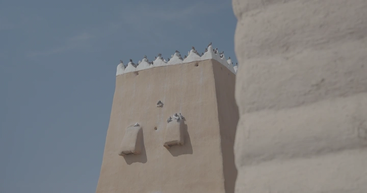 طيور على برج قلعة في يوم مشمس، لقطة قريبة.