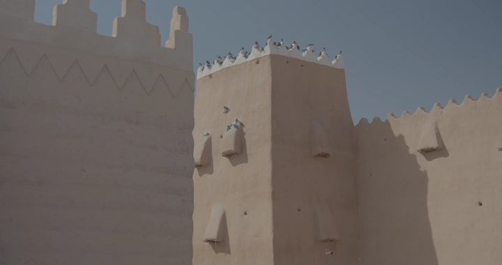 طيور على جدار قصر القشلة  تحت سماء زرقاء، لقطة نهارية.