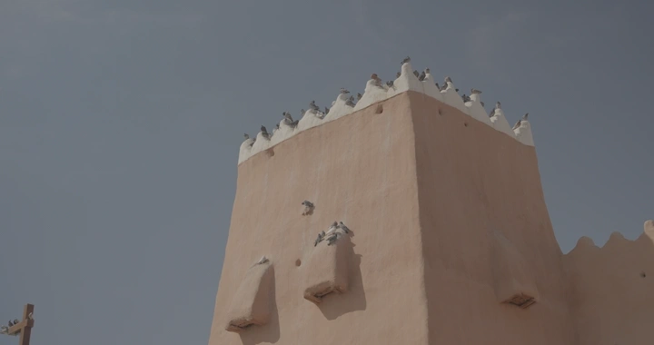 طيور على برج طيني في النهار، لقطة من الأسفل.