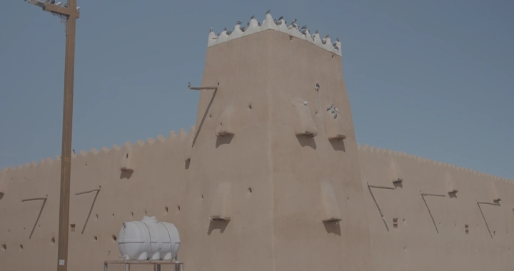 قلعة مع طيور على السطح، تصوير نهاري.