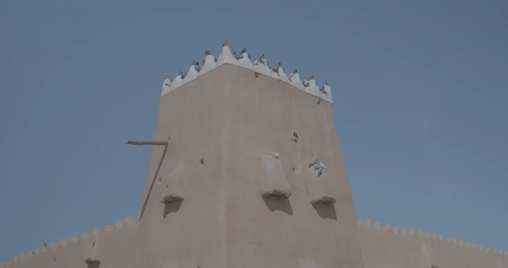 طيور على برج قلعة تحت سماء زرقاء، لقطة من الأسفل.