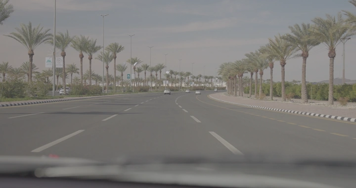 طريق محاط بالنخيل في حائل، لقطة من داخل السيارة.