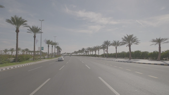 طريق واسع مع أشجار نخيل في حائل، لقطة نهارية.