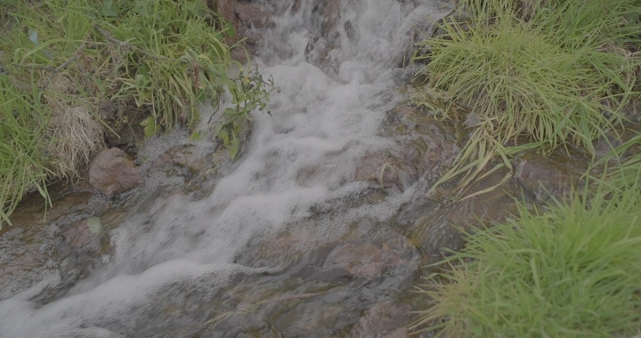 شلال صغير يتدفق بين الصخور والأعشاب، لقطة قريبة.