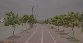 ممشى طويل مع أشجار على الجانبين، لقطة نهارية.