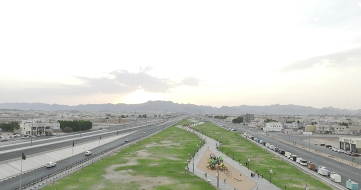 حديقة الزهرة في حائل من الأعلى، لقطة درون.