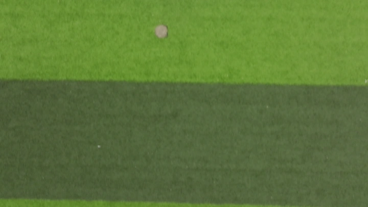 كرة على ملعب عشبي في حديقة الورود، لقطة علوية.