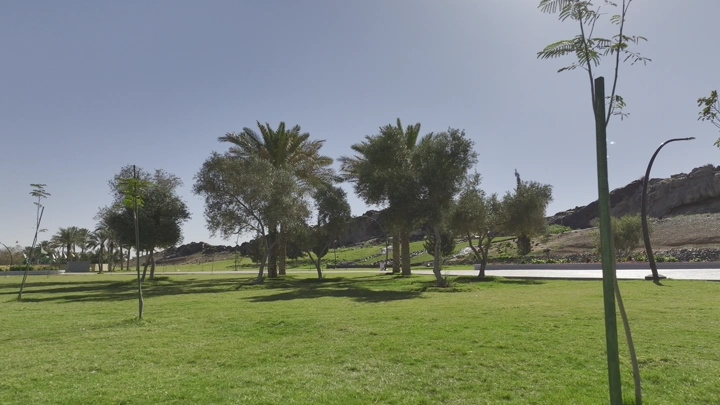 حديقة خضراء مع أشجار في حائل، لقطة درون.