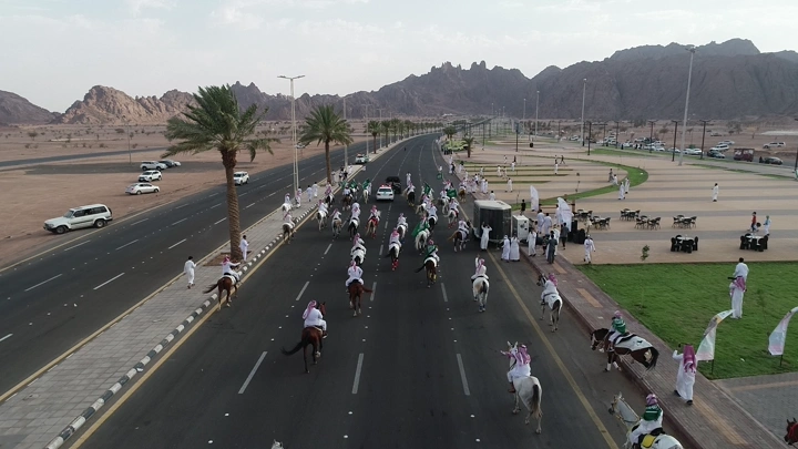 موكب خيول في اليوم الوطني على طريق مفتوح في حائل، لقطة جوية.