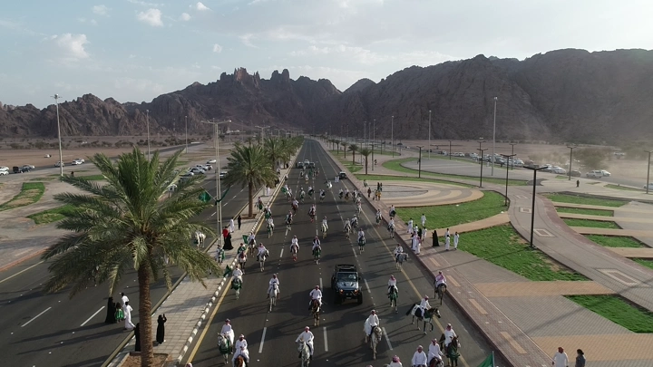 مسيرة خيول في طريق محاط بالنخيل والجبال في حائل، لقطة جوية.