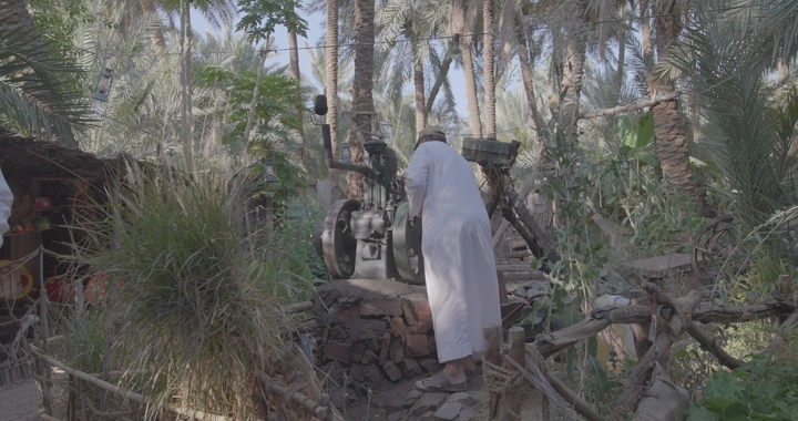 رجل يرتدي ثوبًا يقف بجانب ماطور ساقية في واحة نخيل، لقطة نهارية.