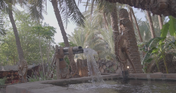 ماطور ساقية في واحة نخيل نهاراً، لقطة طبيعية.