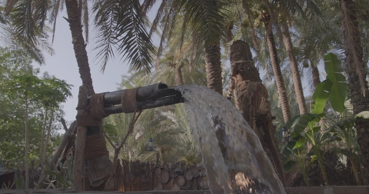 ماطور ساقية في بستان نخيل نهارًا، لقطة قريبة.