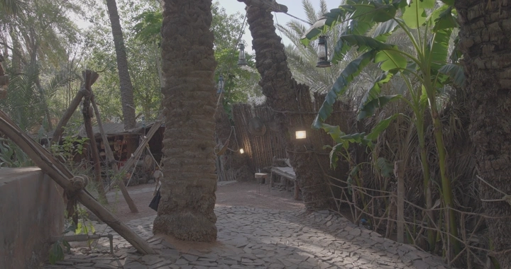 مرجيحة بين الأشجار في واحة طبيعية، لقطة نهارية.