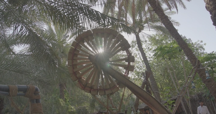 ماطور ساقية بين أشجار النخيل في النهار، لقطة منخفضة.