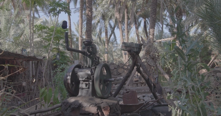 ماطور قديم في بستان نخيل، لقطة نهارية.