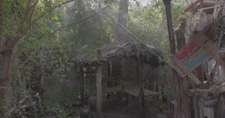 كوخ خشبي في غابة كثيفة، لقطة نهارية.