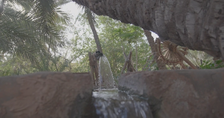 ساقية ماء في حديقة خضراء، لقطة منخفضة.