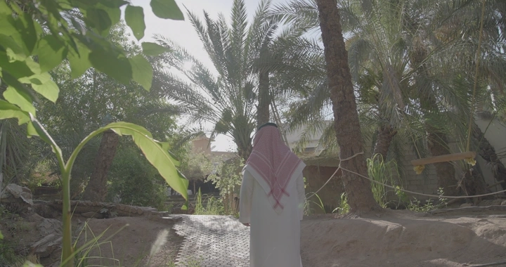 رجل يرتدي الزي السعودي في مزرعة نخيل، لقطة نهارية.