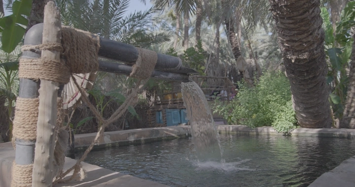 نظام ري تقليدي في واحة نخيل، لقطة نهارية.