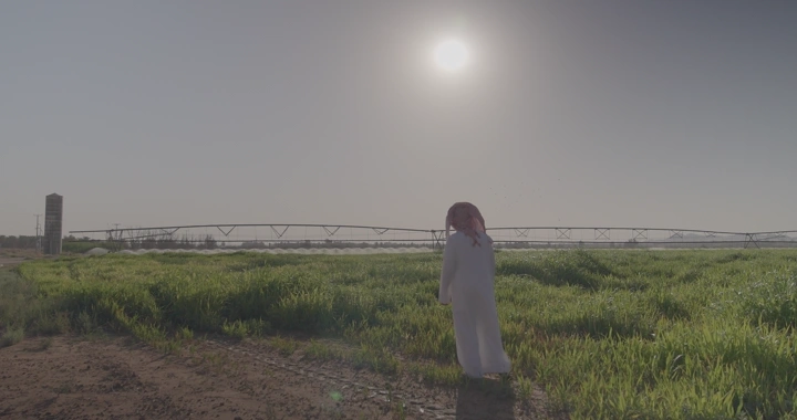 رجل في مزرعة خضراء تحت الشمس، لقطة واسعة.