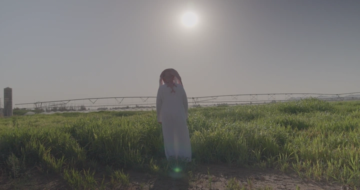 شخص يقف في مزرعة خضراء تحت الشمس، لقطة خلفية.